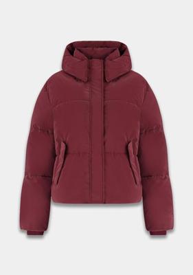 Harper & Yve Jack AW25N201