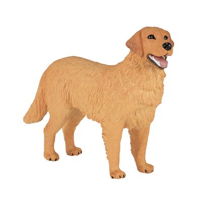 Mojo farmland golden retriever 387198