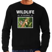 Giraf sweater / trui met dieren foto wildlife of the world zwart voor heren