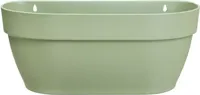 Elho Vibia Campana wall basket wandbak 35 cm pistachegroen Elho Vibia Campana wall basket wandbak 35 cm pistachegroen