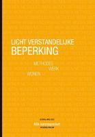 Licht verstandelijke beperking (Paperback)