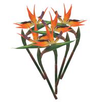 Kunstbloem Strelitzia/Paradijsvogelplant - 5x - 84 cm - losse steel - kunst zijdebloem