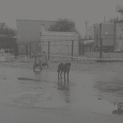 After Its Own Death - CD (0857661008230)