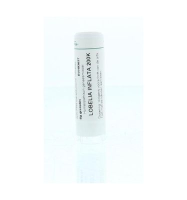 Lobelia inflata 200K