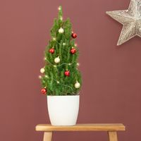 Kerstboom DIY - P21