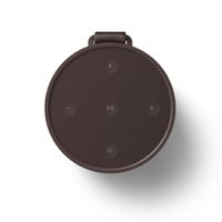 Bang & Olufsen BeoSound Explore Bruin 60 W - thumbnail