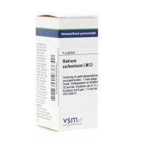 VSM Natrium carbonicum LM12 4 Gram