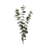 Kunsttak Eucalypthus Groen