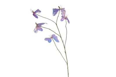 Kunstvlinder Holografic 5x creme/paars 2 assorti PE 110cm