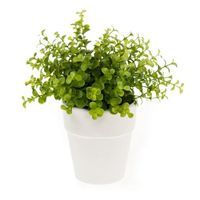 Kunstplant eucalyptus - groen - in witte pot - 22 cm