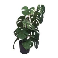 Monstera 46 cm kunstplant Buitengewoon de Boet - Buitengewoon de boet