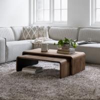 DTP Home Salontafel 'Evo' Teakhout, Set van 2 stuks