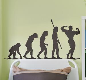 Gym evolutie muur decor