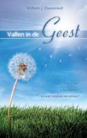 Vallen in de Geest (Paperback)