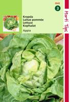 Kropsla Appia - Hortitops