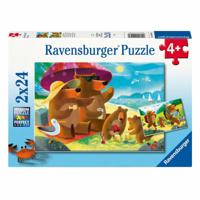 Ravensburger legpuzzel berenfamilie vakantie - 2x24st.
