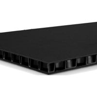 Adam Hall 0594BB SolidLite® plaat zwart/zwart 9.4 mm 2500 x 1250 mm (per stuk)