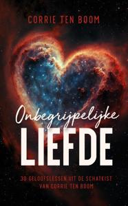 Onbegrijpelijke liefde (Paperback)