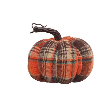 Pompoen Multicolour