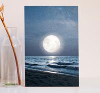 Canvas landschap maanlicht over oceaan Canvas landschap maanlicht over oceaan