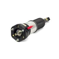Pneumatische veerpoot AS3074