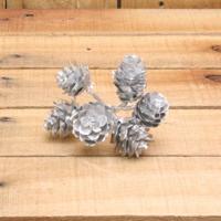 Bonbon doosjes - Chocolade doosje - Deko kerst dennenappels zilver