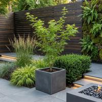 Acer palmatum 'Going Green' - Japanse Esdoorn - P24 - thumbnail