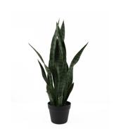 present time Kunstplant Sansevieria 66cm - Donkergroen