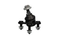 Fuseekogel SBJ10008