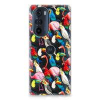 Motorola Edge 30 Pro | TPU Hoesje | Birds