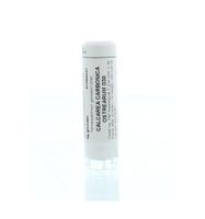Calcarea carbonica ostrearum D30