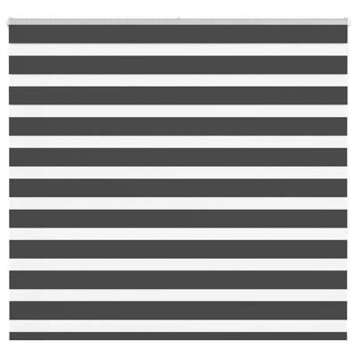 Zebra rolgordijn 160x150 cm stofbreedte 155,9 cm zwart