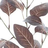 Flocked eucalyptus spray brown 72 cm kunstbloem Erutan Avon - Erutan avon