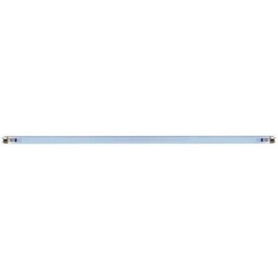 Osram UV Vervangingslamp 75W T8 - Clear Pond Light voor Evolution Aqua EVO 75W, 9000 uur