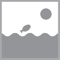 Aquaforte Koi Brush Vijverborstel 30x15cm - Duurzame Polypropyleen Filterborstel