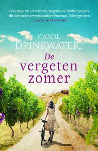 De vergeten zomer - Carol Drinkwater - ebook