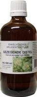 Natura Sanat Cnicus benedictus / gezegende distel tinctuur bio (100 ml)