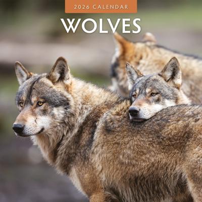 Wolven Kalender 2026