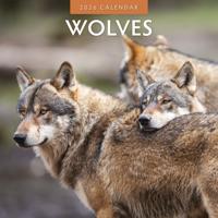 Wolven Kalender 2026