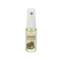 Beeztees Catnip Spray - 30 ml - thumbnail