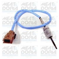 Sensor, uitlaatgastemperatuur 12190