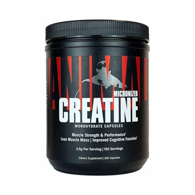 Animal Creatine 300caps