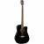 Fender Classic Design CB-60SCE Black