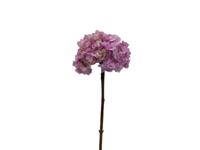 Kunstbloem hortensia 66 cm, paars - Buitengewoon de boet
