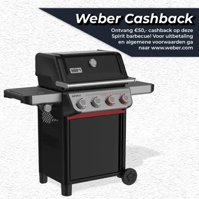 Gasbarbecue spirit e-435