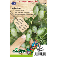 Melothria Scabra zaden Muismeloen Melothria Scabra zaden Muismeloen