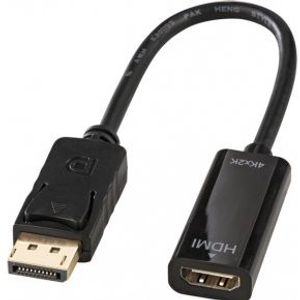Lindy 41718 video converter