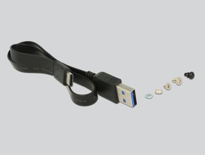 DeLOCK 42597 behuizing voor opslagstations SDD-behuizing Zwart M.2