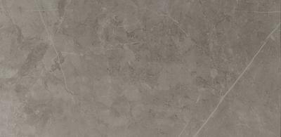 Dover Grey Poli 60x120 rect