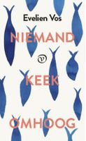 Niemand keek omhoog - Evelien Vos - ebook - thumbnail